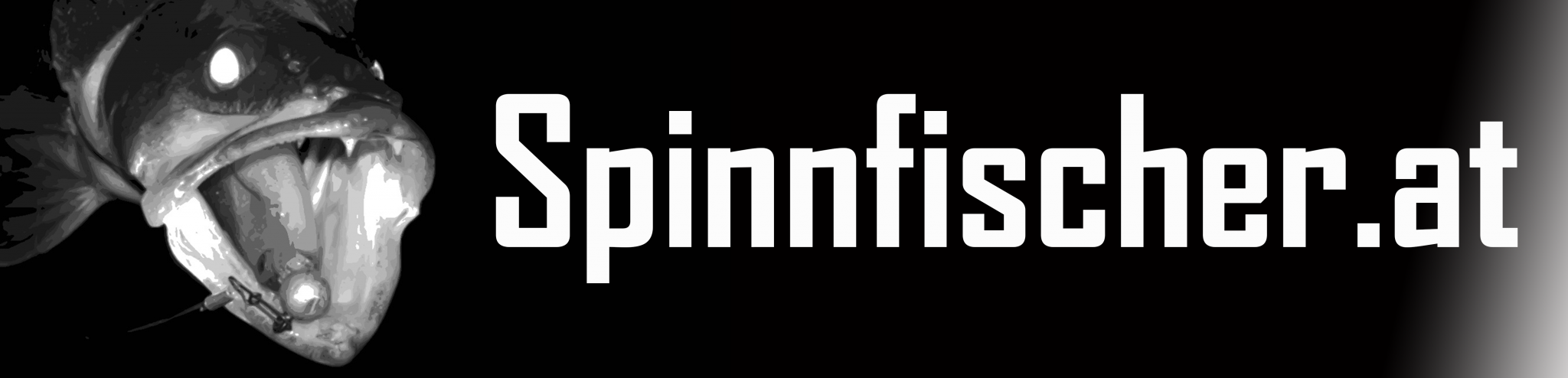 spinnfischer.at